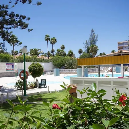 Aloe One Bedroom Playa Del Ingles