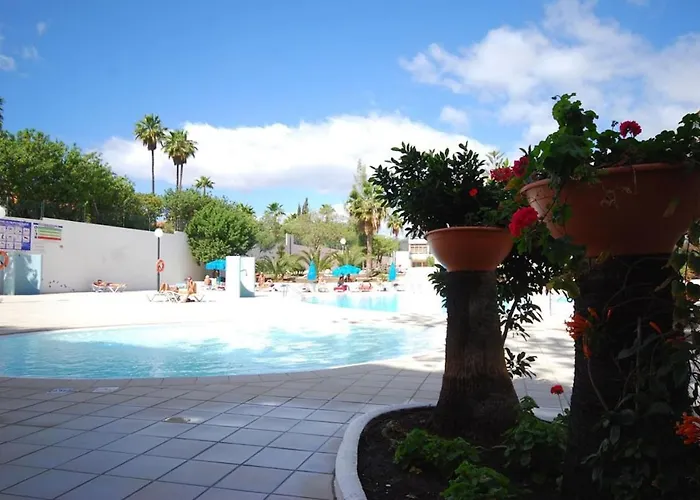 Gran Canaria Aloe San Bartolomé