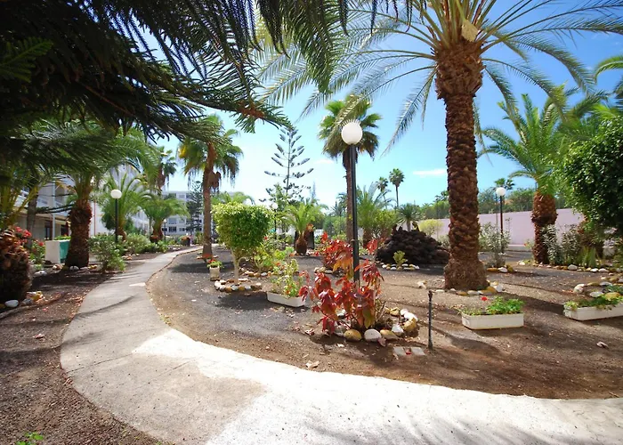 Gran Canaria Aloe 公寓 San Bartolomé